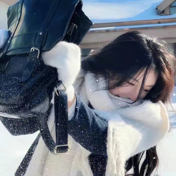 水果篮子 最终季
